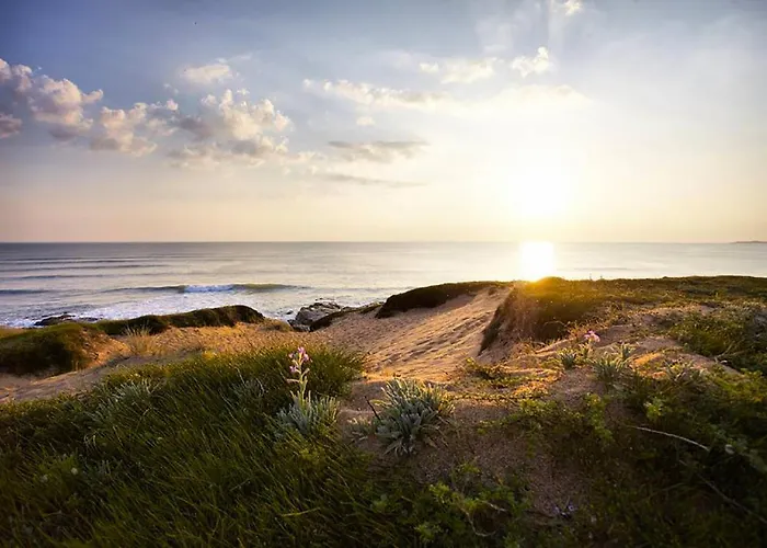Maison De Aux Volets Bleus Hébergement de vacances Le Fenouiller